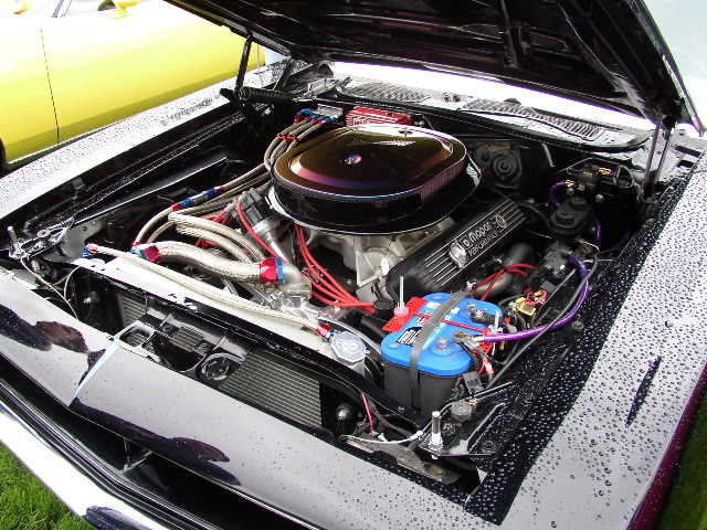 P1010071.JPG